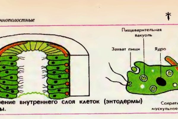 Как пополнить баланс на меге