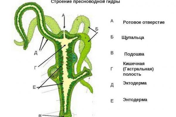 Mega links телеграмм