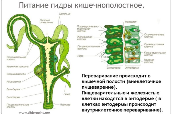 Шоп mega ссылка